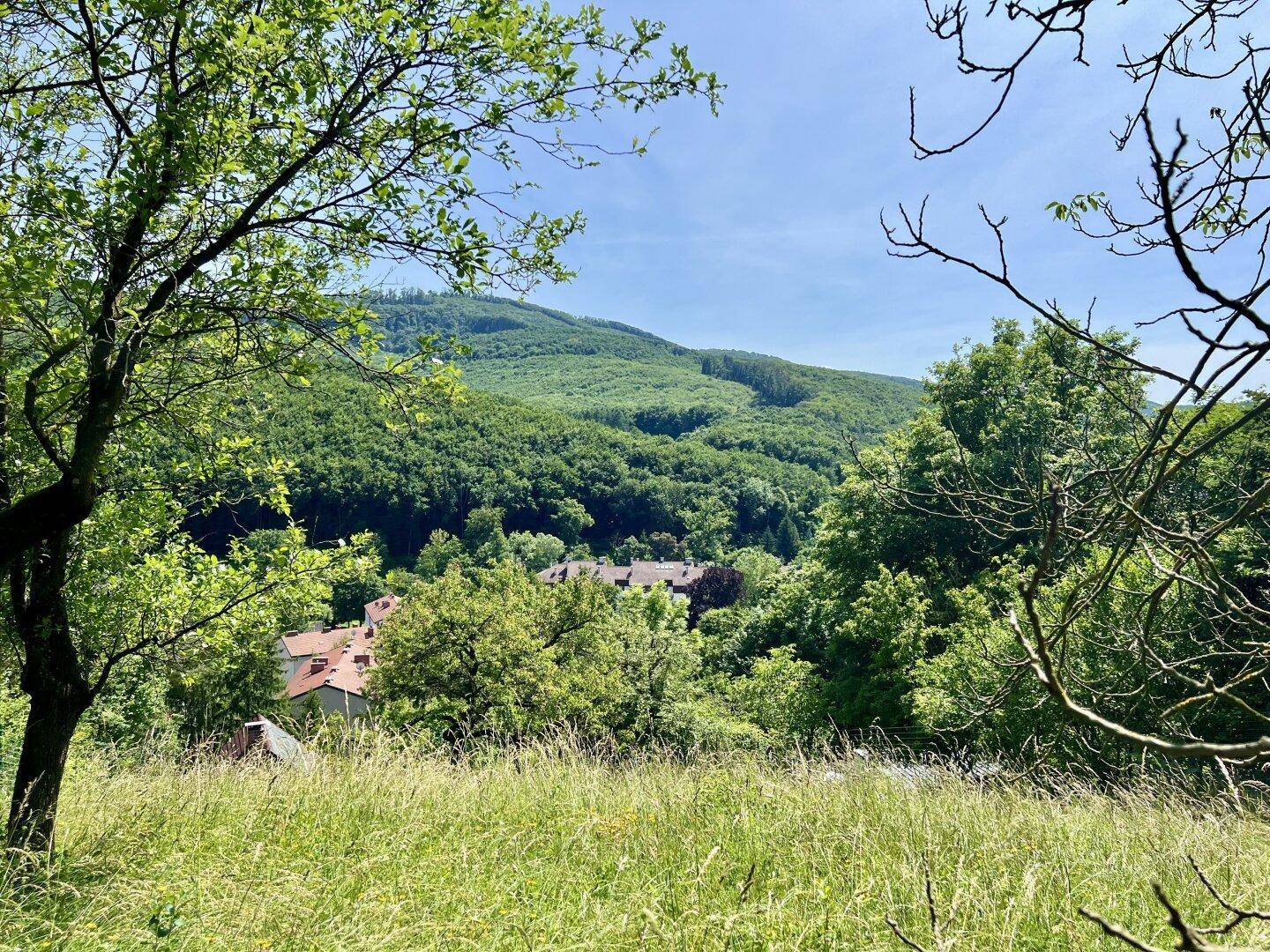 EINFAMILIENHAUS ZUM MODERNISIEREN IN HANGLAGE - Widok 2