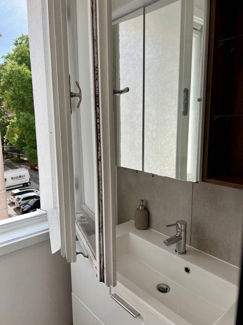 Modernes Badezimmer mit Waschbecken, Spiegelschrank und Fenster mit Blick nach draußen.