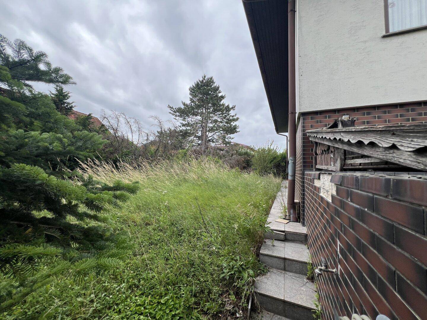 Seitenansicht des Hauses mit überwuchertem Gartenbereich und Treppenzugang.