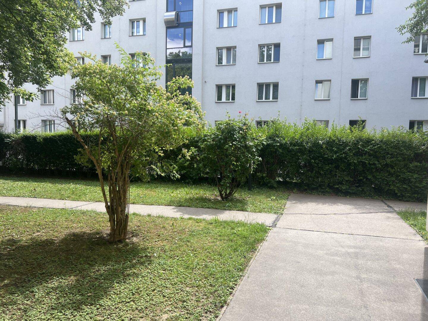 Gepflegter Innenhof mit Rasenfläche, kleinen Bäumen und Hecken vor der Gebäudefassade.