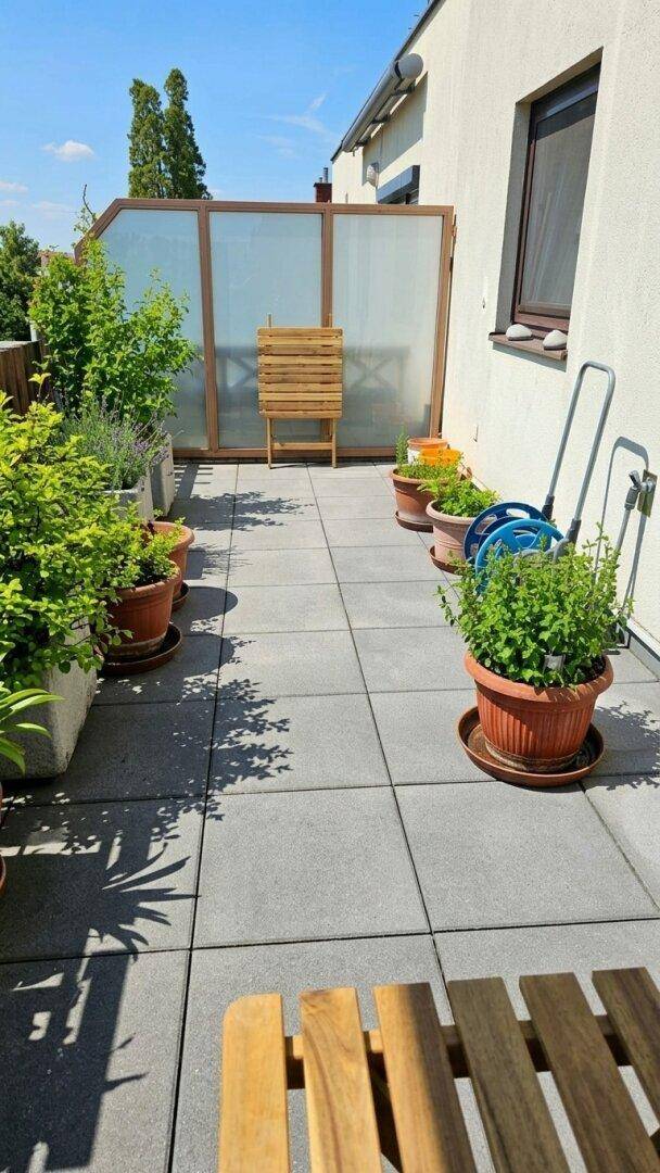Sonniger Terrassenbereich mit Fliesenboden, vielen Pflanzen und einer Sichtschutzwand.