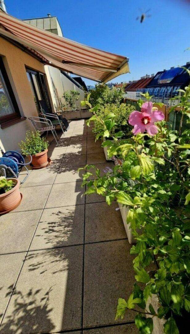 Große, sonnige Terrasse mit Fliesenboden, Pflanzen und einer ausfahrbaren Markise.