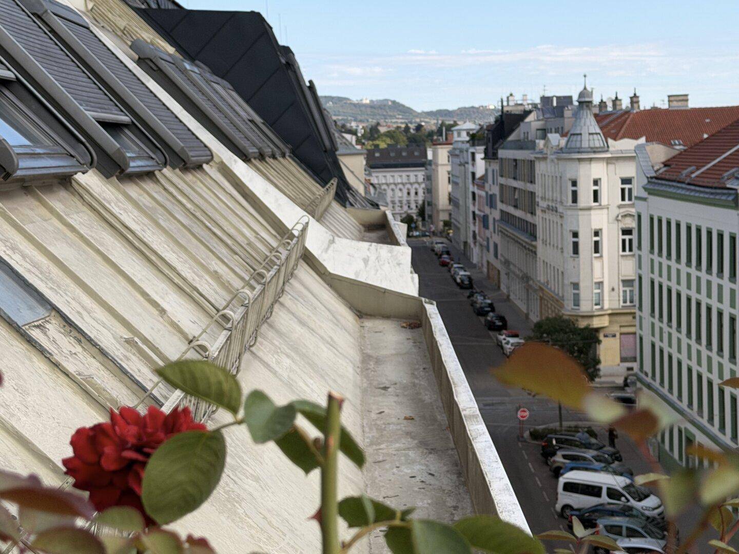 Blick über die Dächer der Stadt mit einer Straße und historischen Gebäuden im Hintergrund.