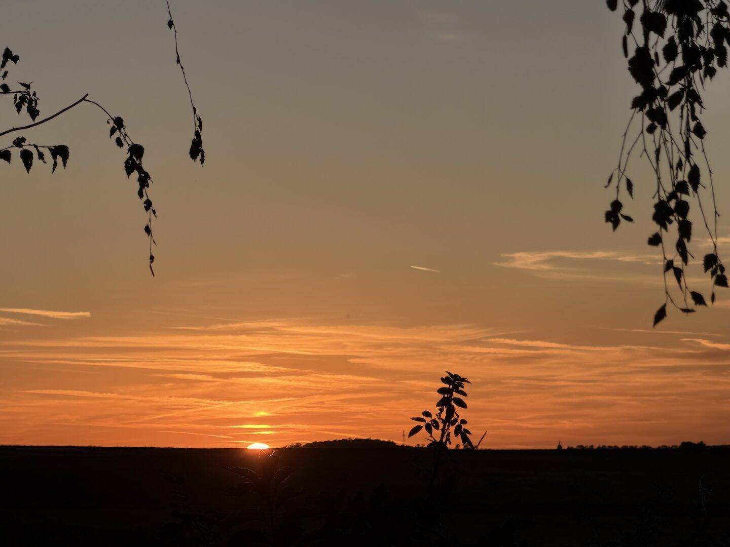 Sonnenuntergang über einer weiten Landschaft mit silhouettierten Bäumen im Vordergrund.