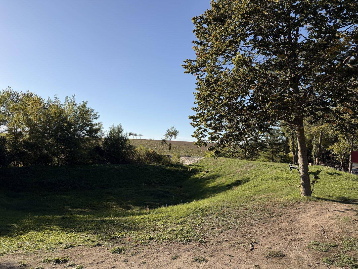 Eine hügelige Graslandschaft mit Bäumen und weitem Blick in die Ferne.