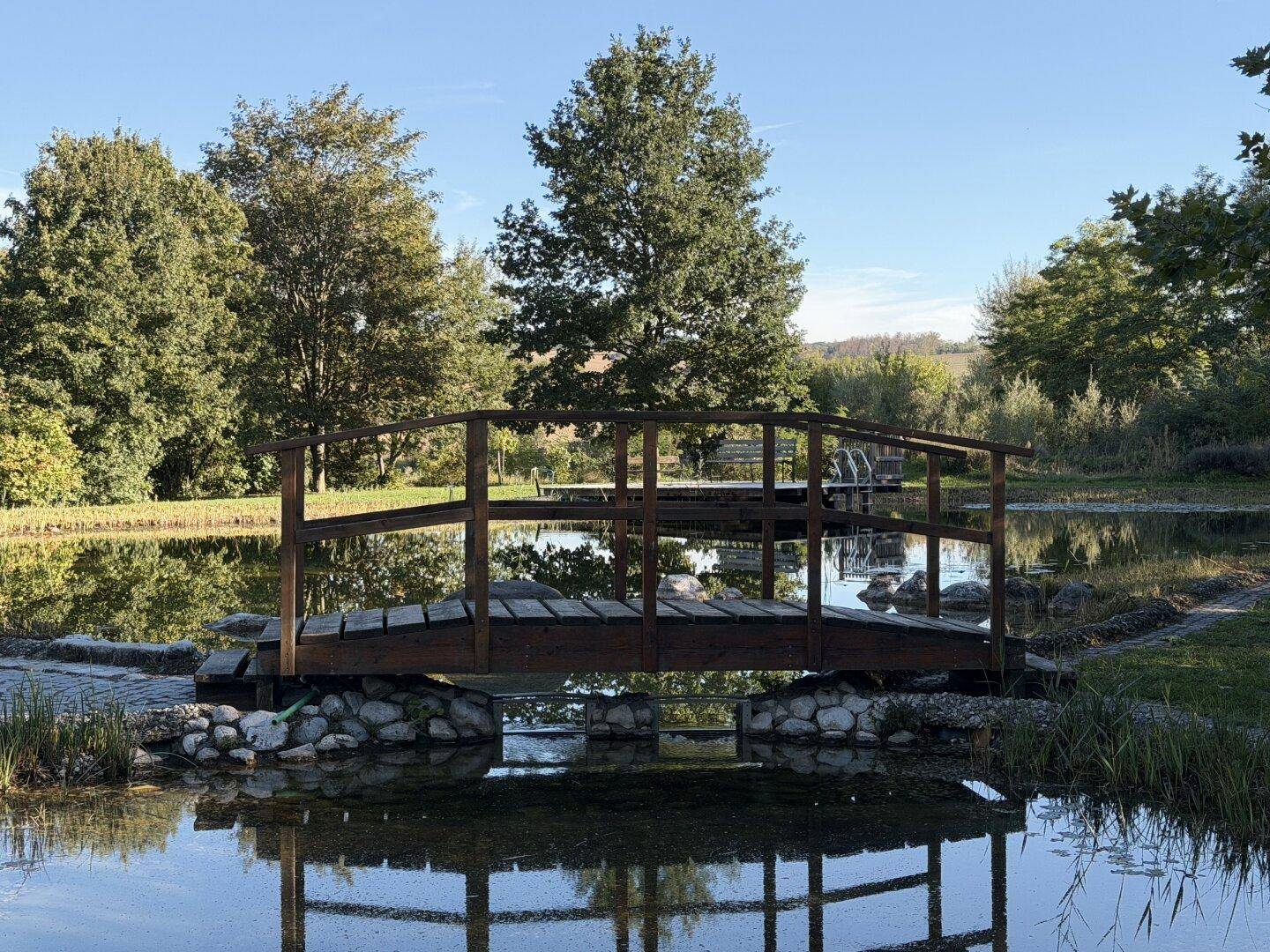 Eine Holzbrücke überspannt einen Teich, umgeben von Bäumen und grüner Landschaft.