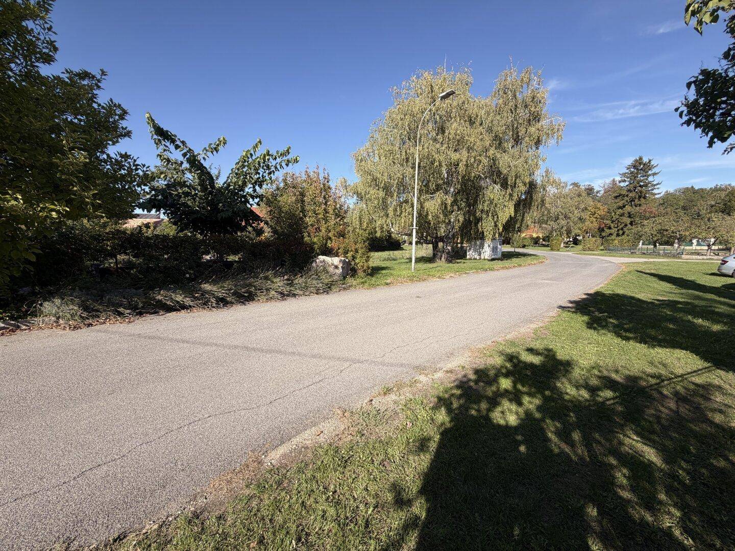 Ruhige Landstraße mit Bäumen und Wiesen unter blauem Himmel, ideal für Spaziergänge.