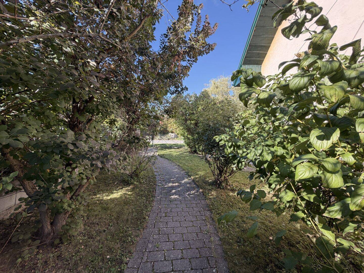 Gepflasterter Gartenweg umgeben von üppigem Grün und Bäumen an einem sonnigen Tag.