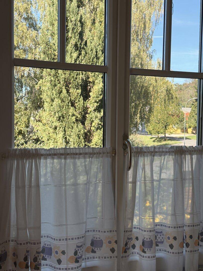 Fenster mit weißen Vorhängen und Blick ins Grüne, das viel Tageslicht hereinlässt.