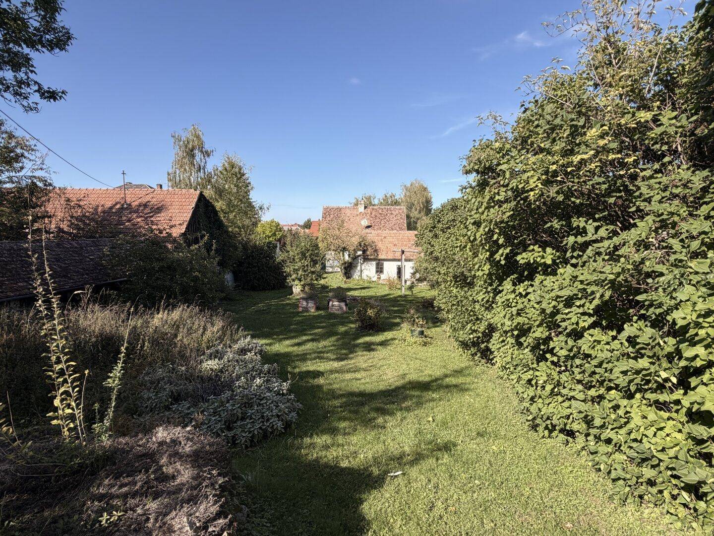 Weitläufiger Garten mit üppiger Vegetation und Blick auf traditionelle Häuser im Hintergrund.