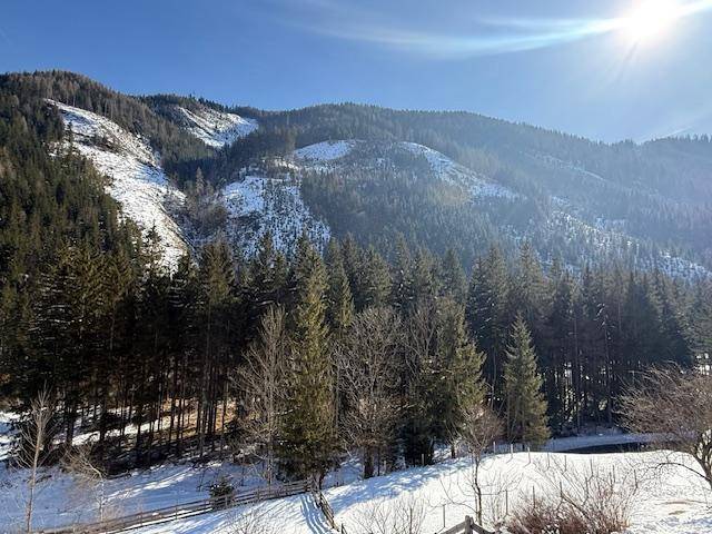 Atemberaubender Blick auf die sonnigen, schneebedeckten Berge und dichte Nadelwälder.