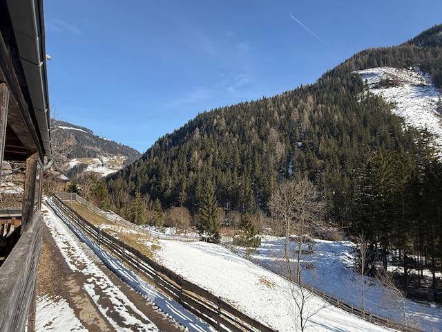 Panoramablick vom Balkon auf die schneebedeckten Hänge und dichten Wälder der Alpen.