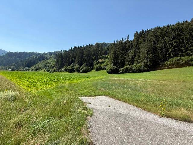 Weite grüne Felder und dichte Wälder unter einem klaren blauen Himmel.