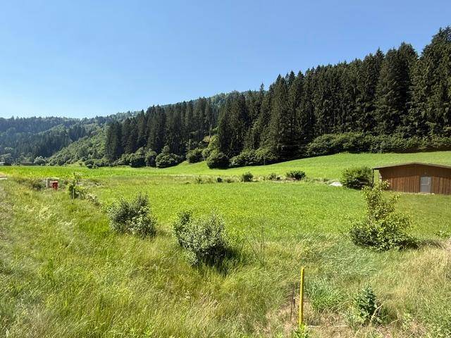 Idyllische Landschaft mit grünen Feldern, Wald und einer kleinen Holzhütte am Rand.