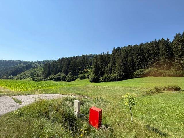 Grüne Wiesen und bewaldete Hügel unter strahlend blauem Himmel mit einem roten Kasten.