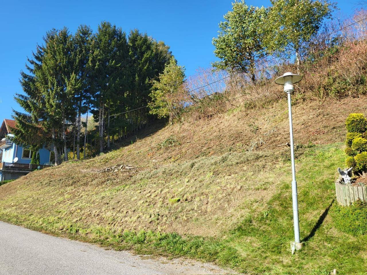 Hanglage mit Gras und Bäumen, die eine potenzielle Baufläche oder Gartenbereich zeigt.