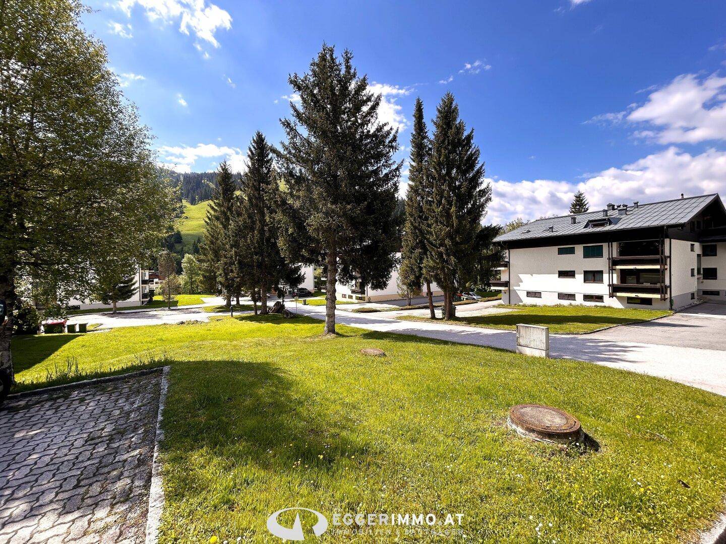 Weitläufige grüne Außenanlage mit hohen Bäumen und Gebäuden im Hintergrund unter blauem Himmel.