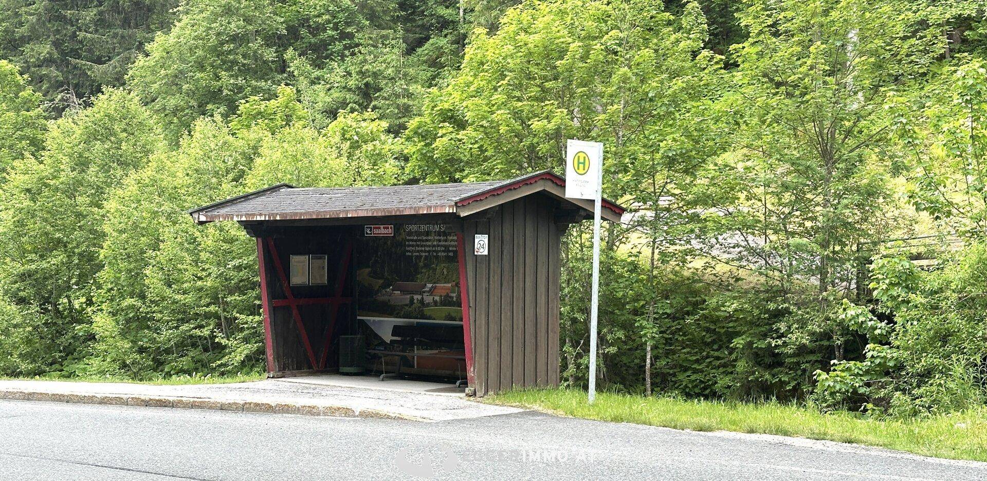 Kleine hölzerne Bushaltestelle am Straßenrand, umgeben von Bäumen und Natur.