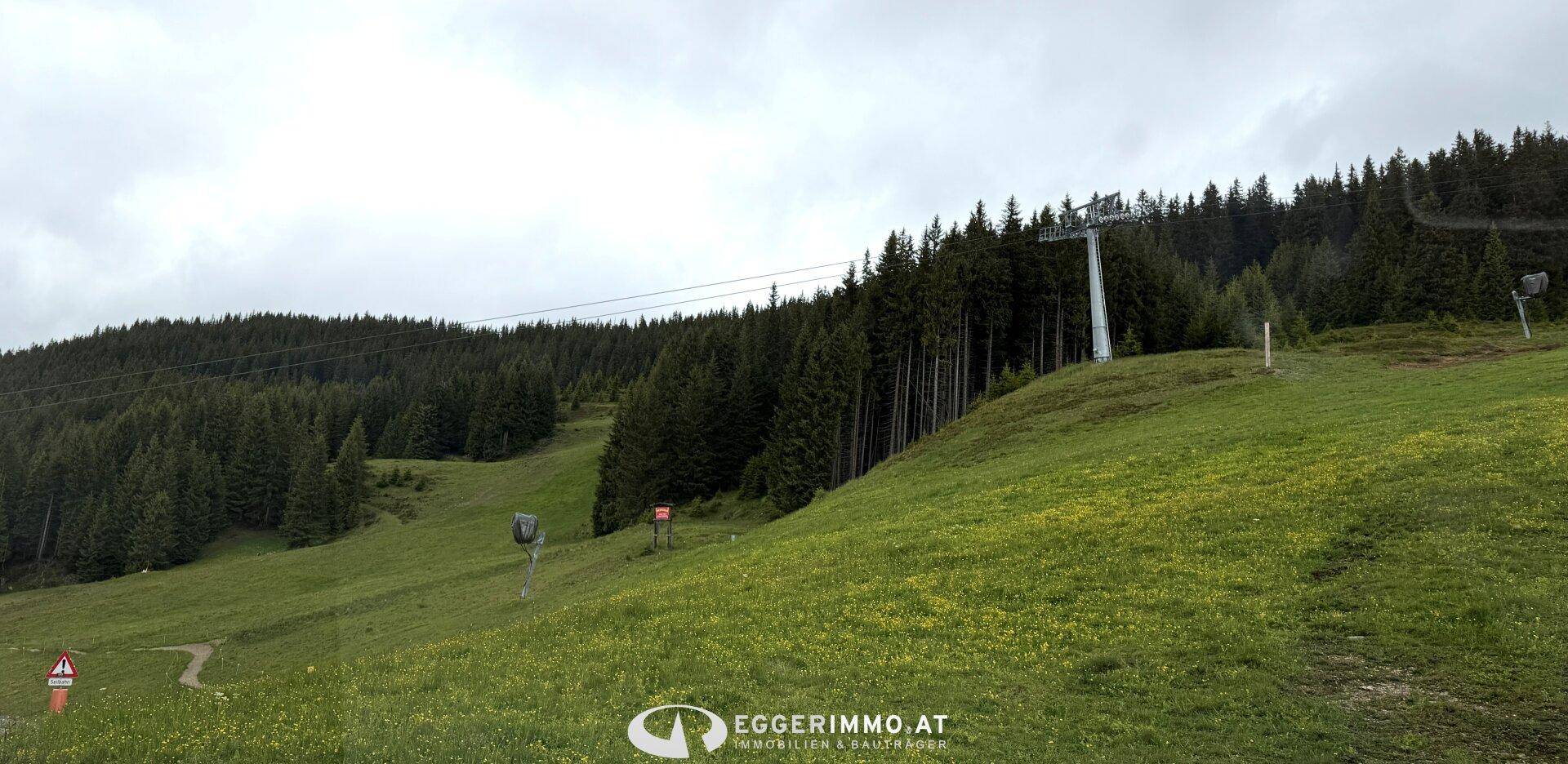 Grüne Bergwiese mit Skiliftanlage und bewaldetem Hang unter bewölktem Himmel.