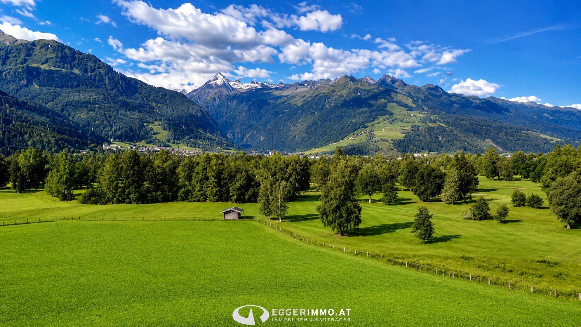 Weitläufige grüne Landschaft mit Bäumen und majestätischem Alpenpanorama unter blauem Himmel.