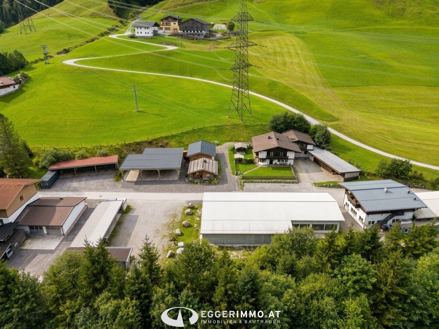 Gesamtansicht des Anwesens mit Wohnhaus, Carports und Gewerbegebäuden, eingebettet in die Natur.
