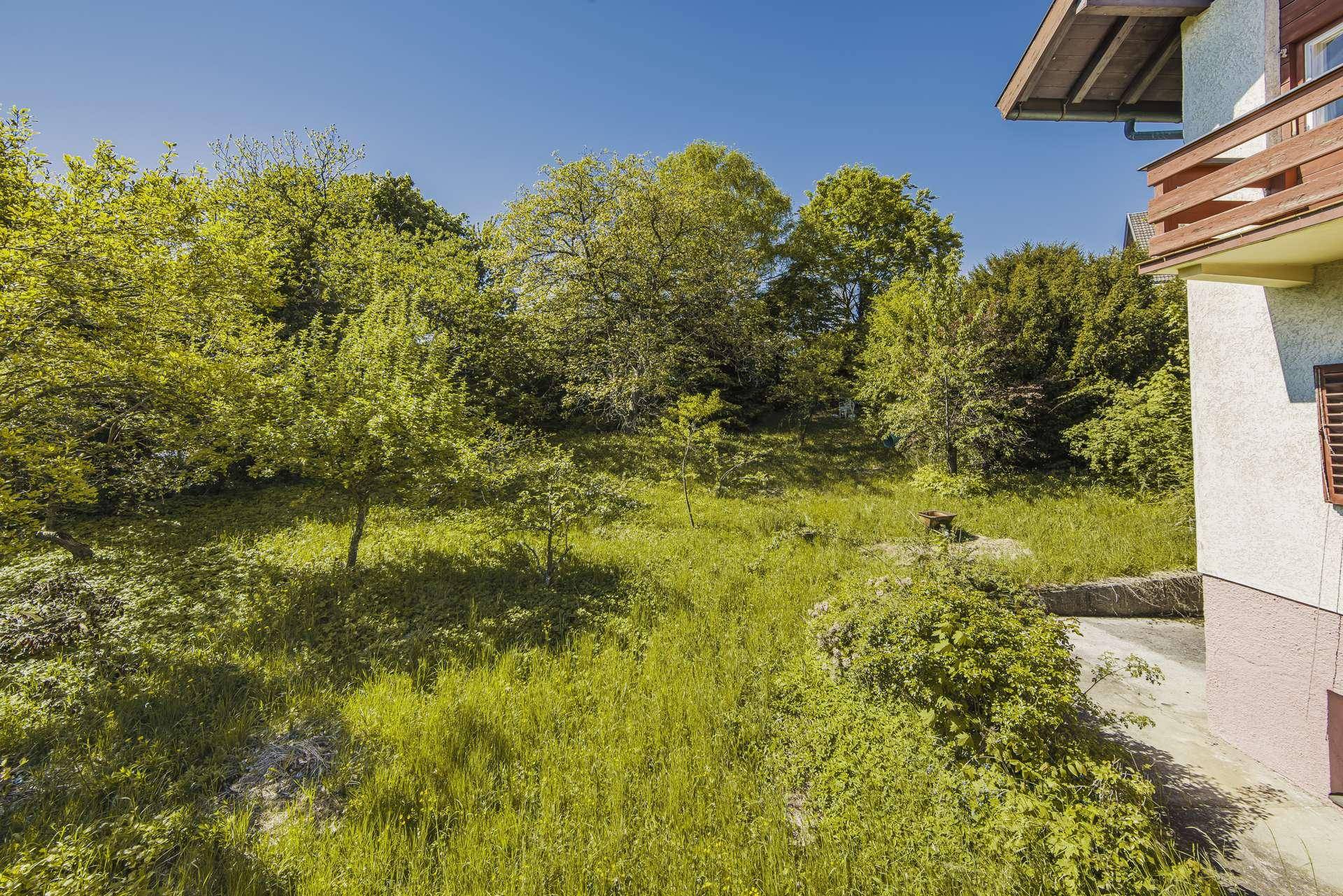 Blick von der Terrasse auf den weitläufigen, grünen Gartenbereich mit altem Baumbestand und viel Natur.