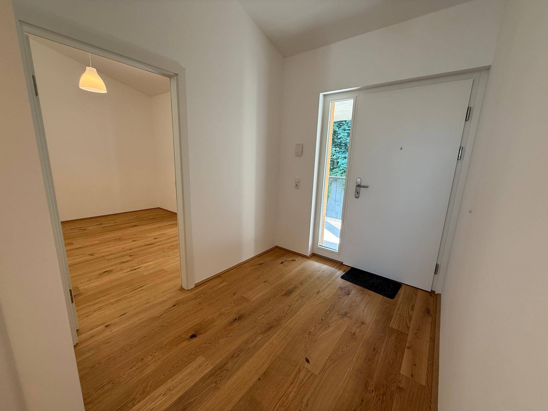 Eingangsbereich mit Holzboden und heller Tür, die zu einem weiteren Raum führt.