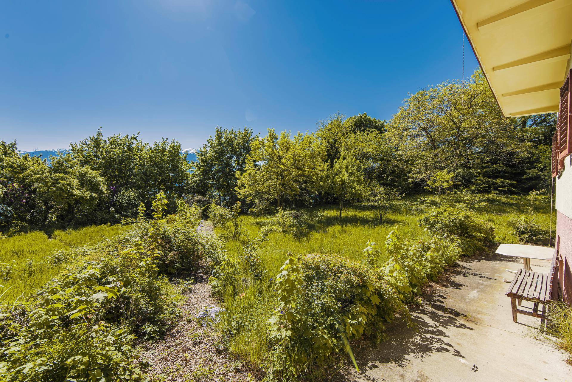 Naturbelassener Gartenbereich mit einer kleinen Terrasse und Sitzgelegenheiten, umgeben von viel Grün.