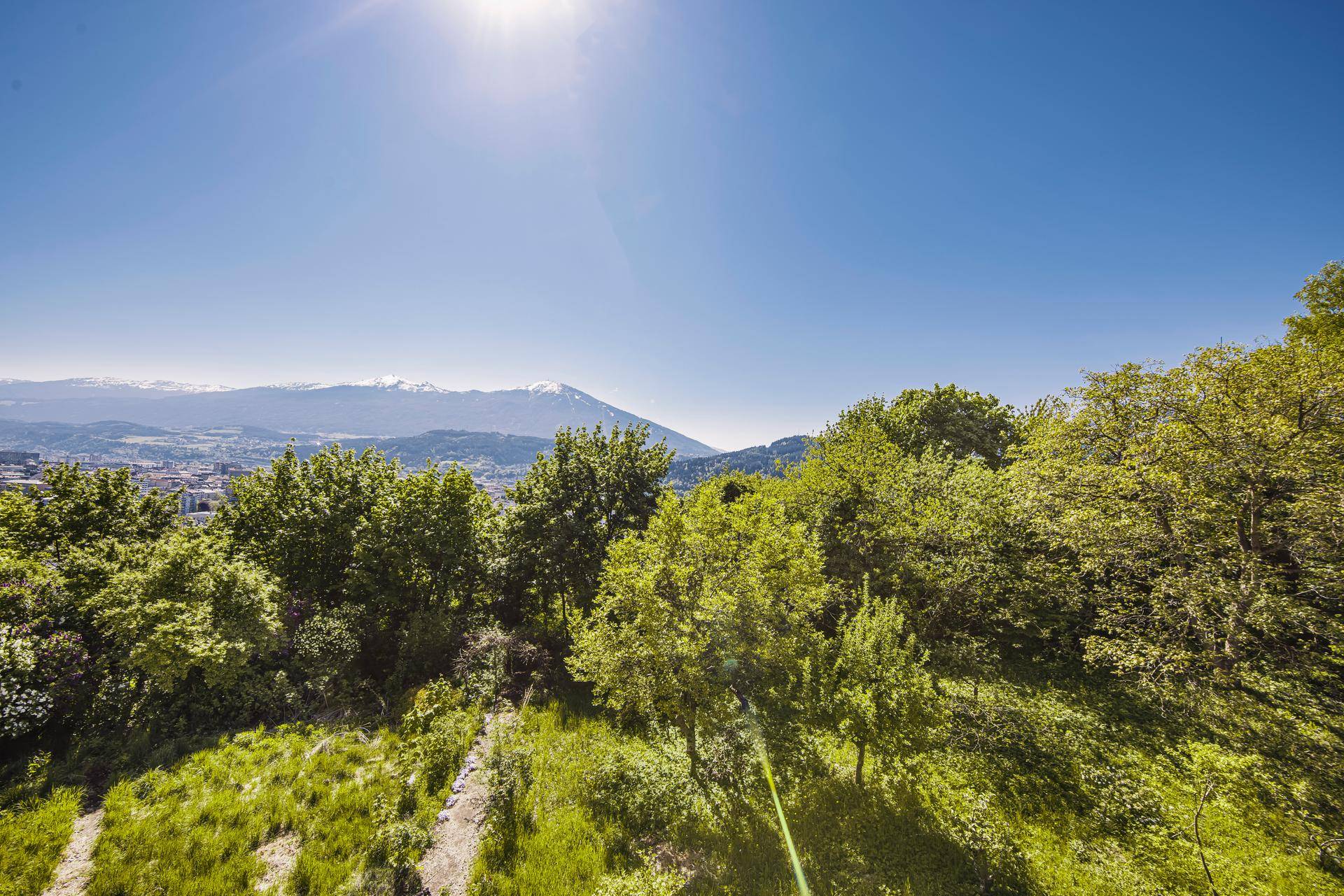 Weitläufiger Ausblick auf die Stadtlandschaft mit üppiger Vegetation und majestätischen Bergen im Hintergrund.