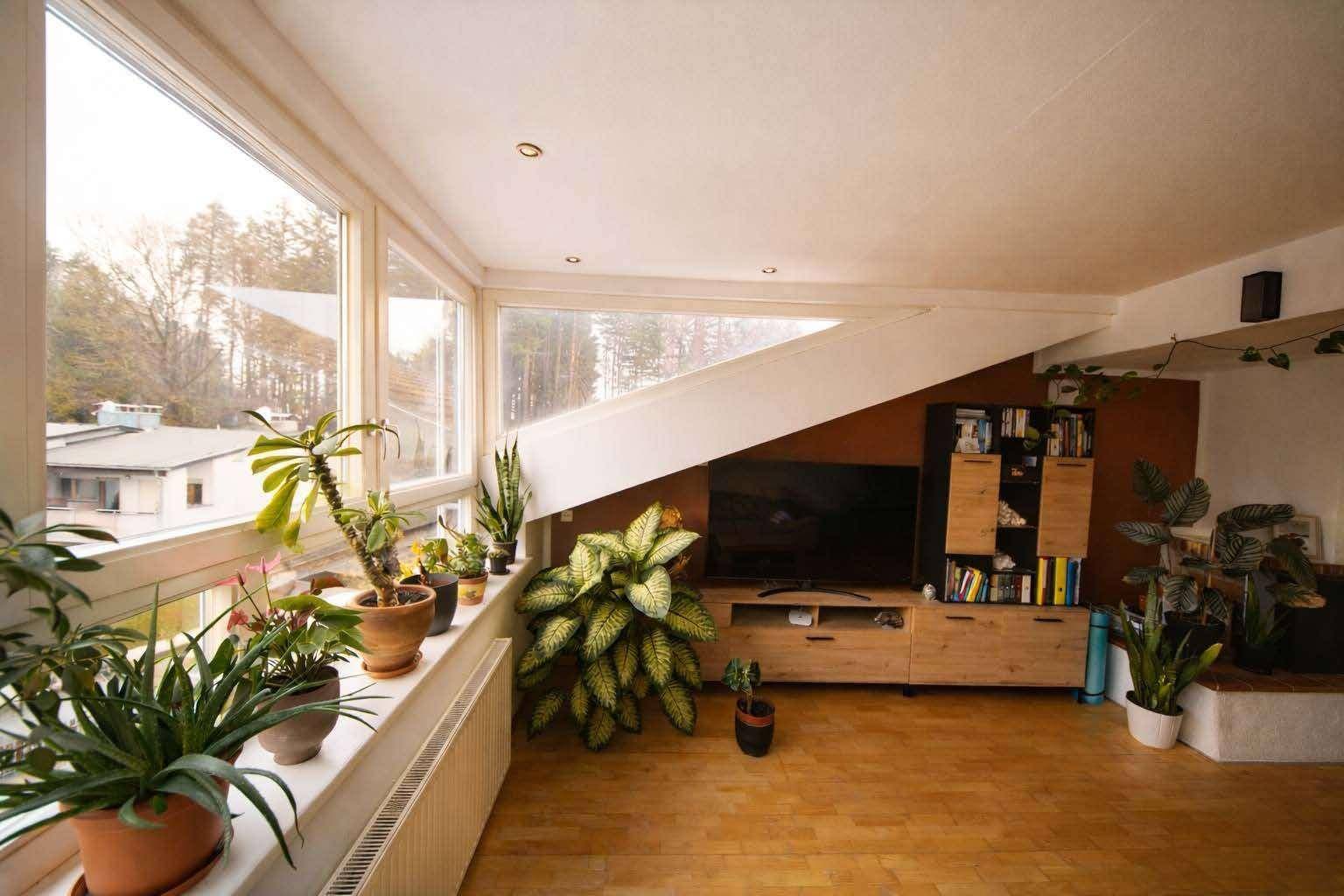 Wohnzimmer mit breiter Fensterfront, die viel Tageslicht und eine grüne Aussicht bietet.