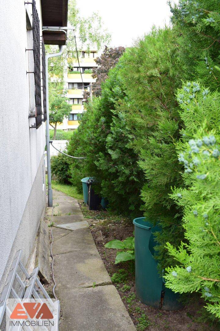 An der Nordseite des Hauses vorbei