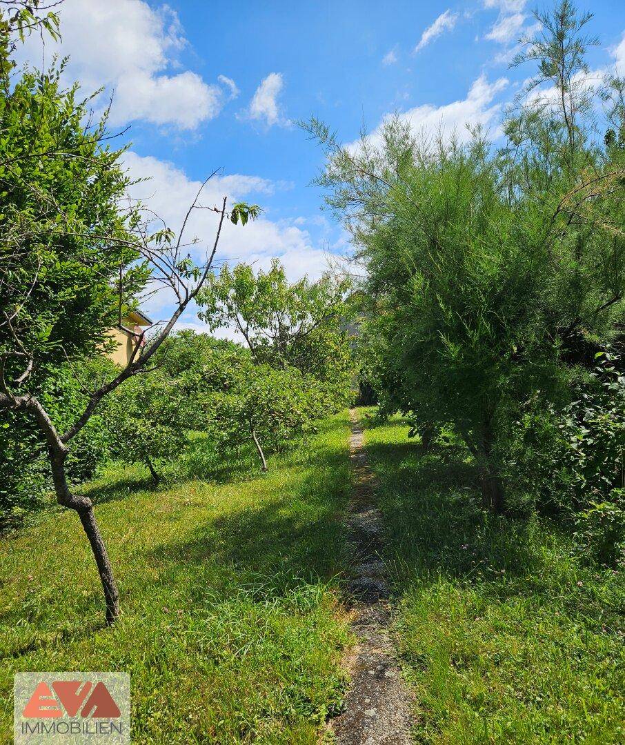 Großer Garten