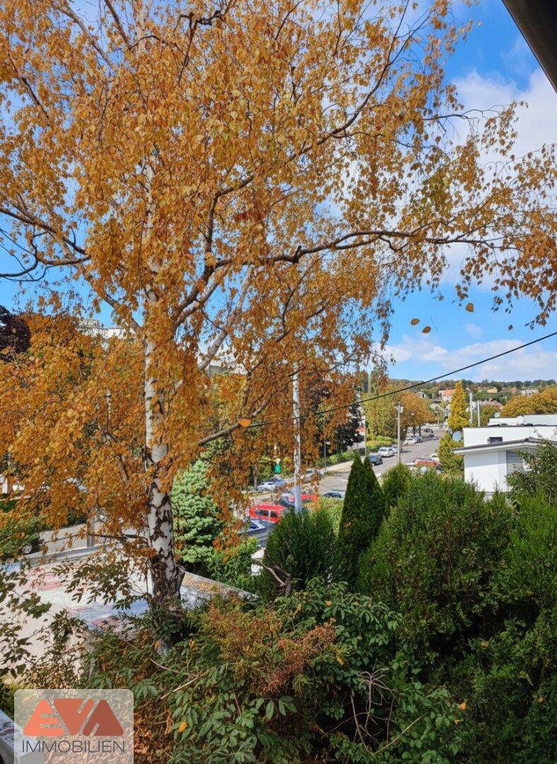 Aussicht von der Terrasse