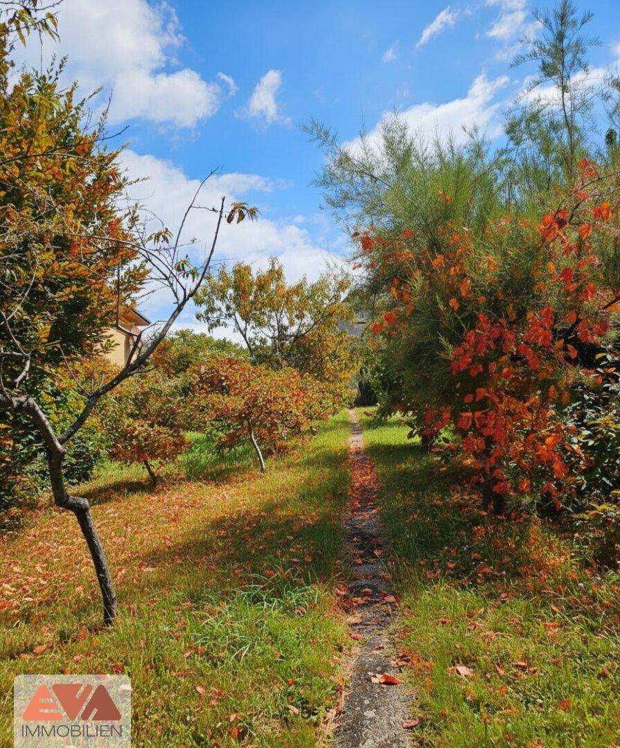 Großer Garten mit Obstbäumen