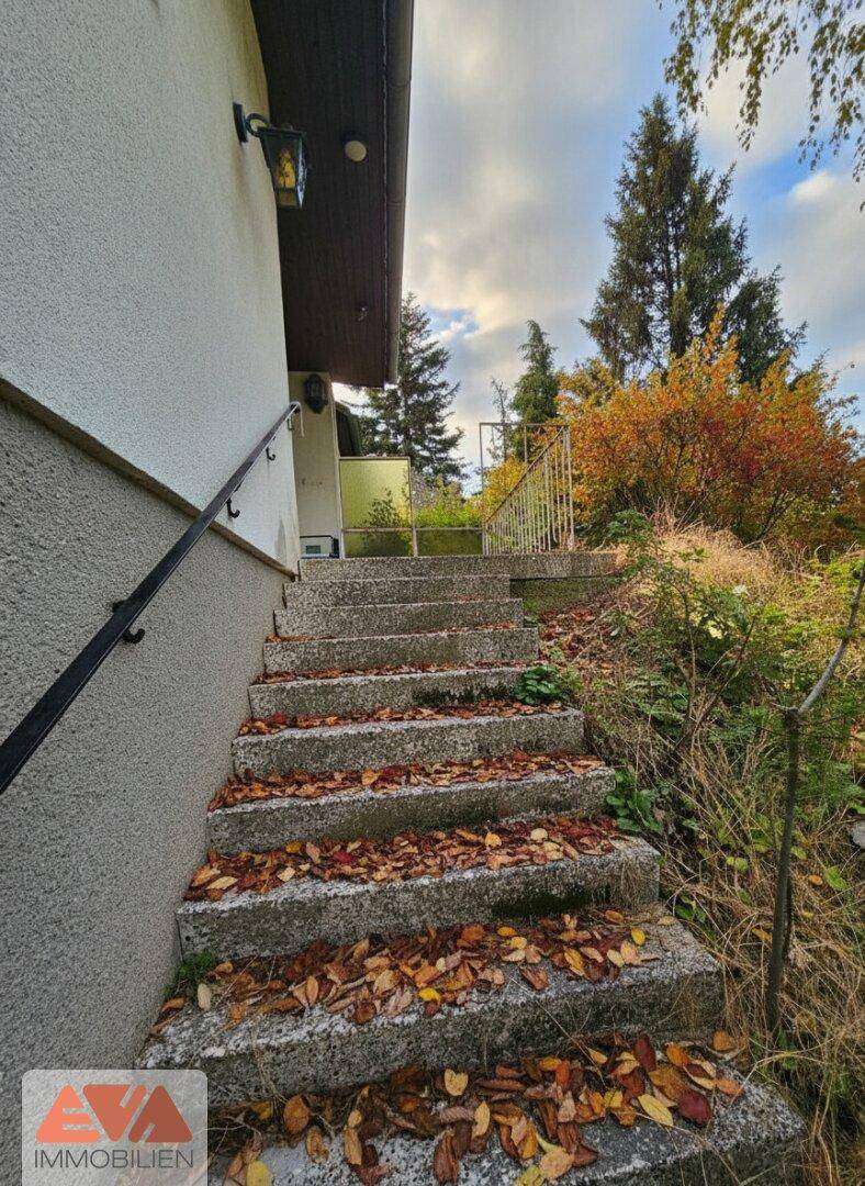 Treppe zur Terrasse und Hauseingang
