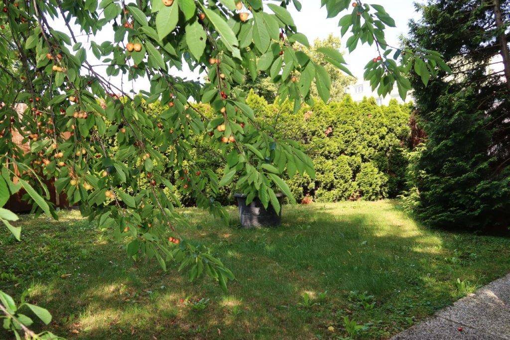5.Garten neu1