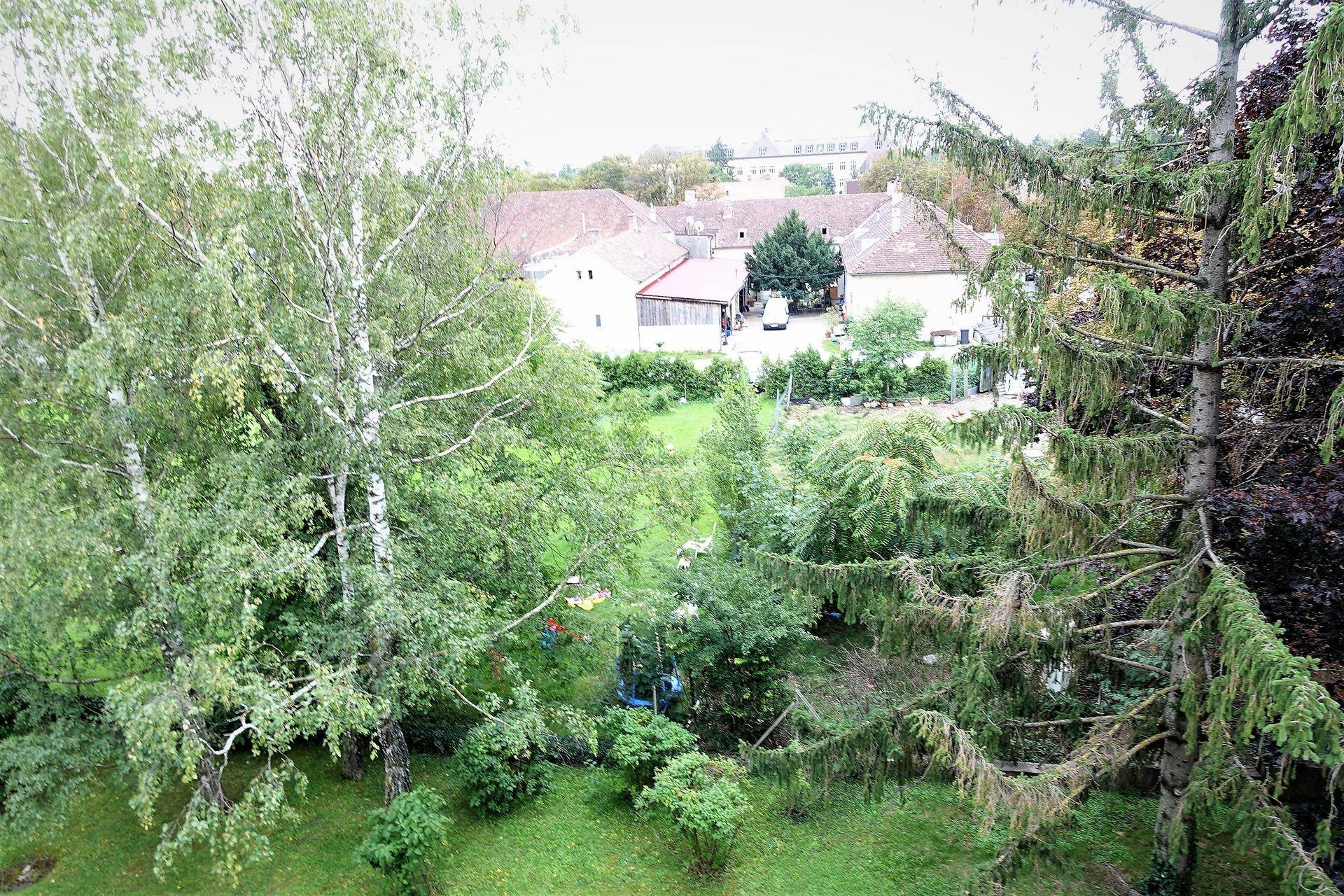 Ausblick