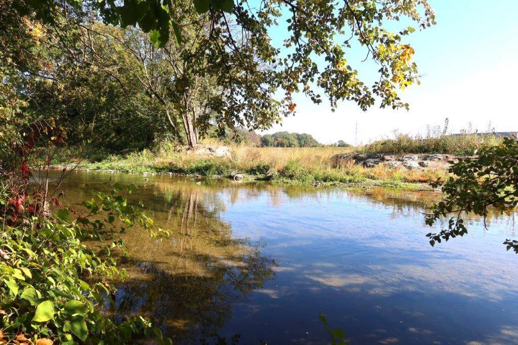Ruhiger Flusslauf umgeben von üppiger Vegetation unter einem klaren blauen Himmel.