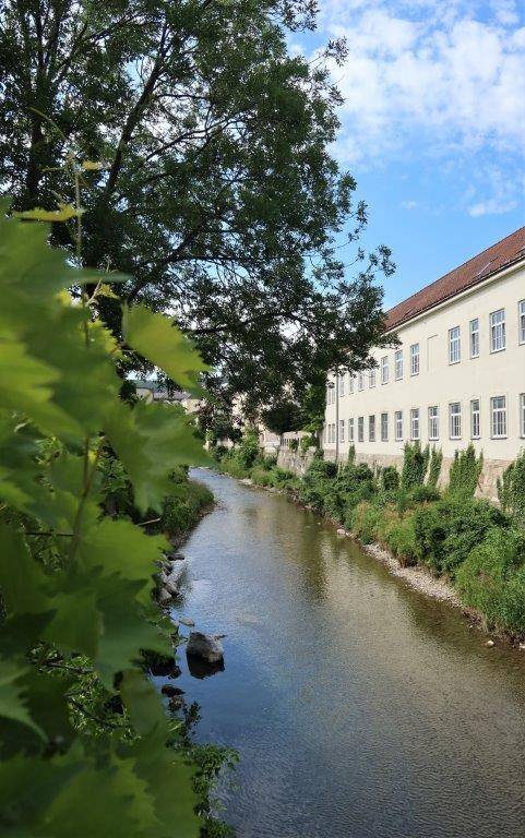 Malerischer Flusslauf mit üppigem Grün und einem historischen Gebäude im Hintergrund unter blauem Himmel.