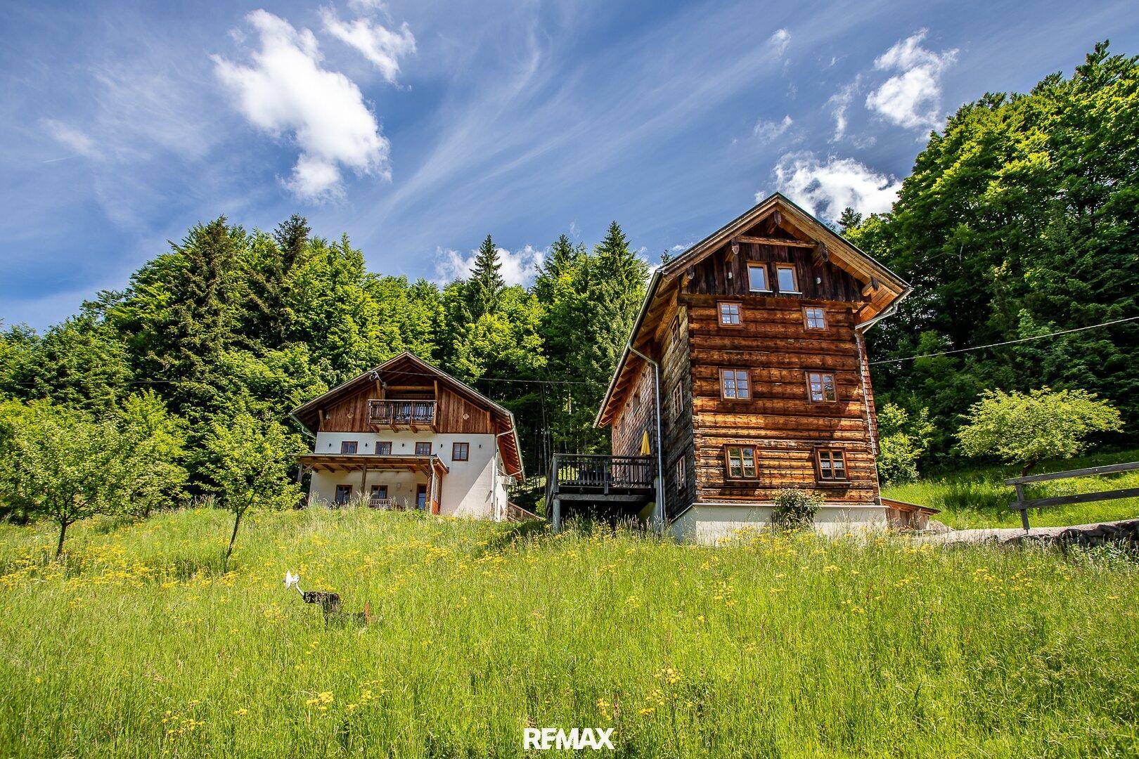 Zwei charmante Häuser im Grünen, eingebettet in eine malerische Landschaft mit Wald im Hintergrund.