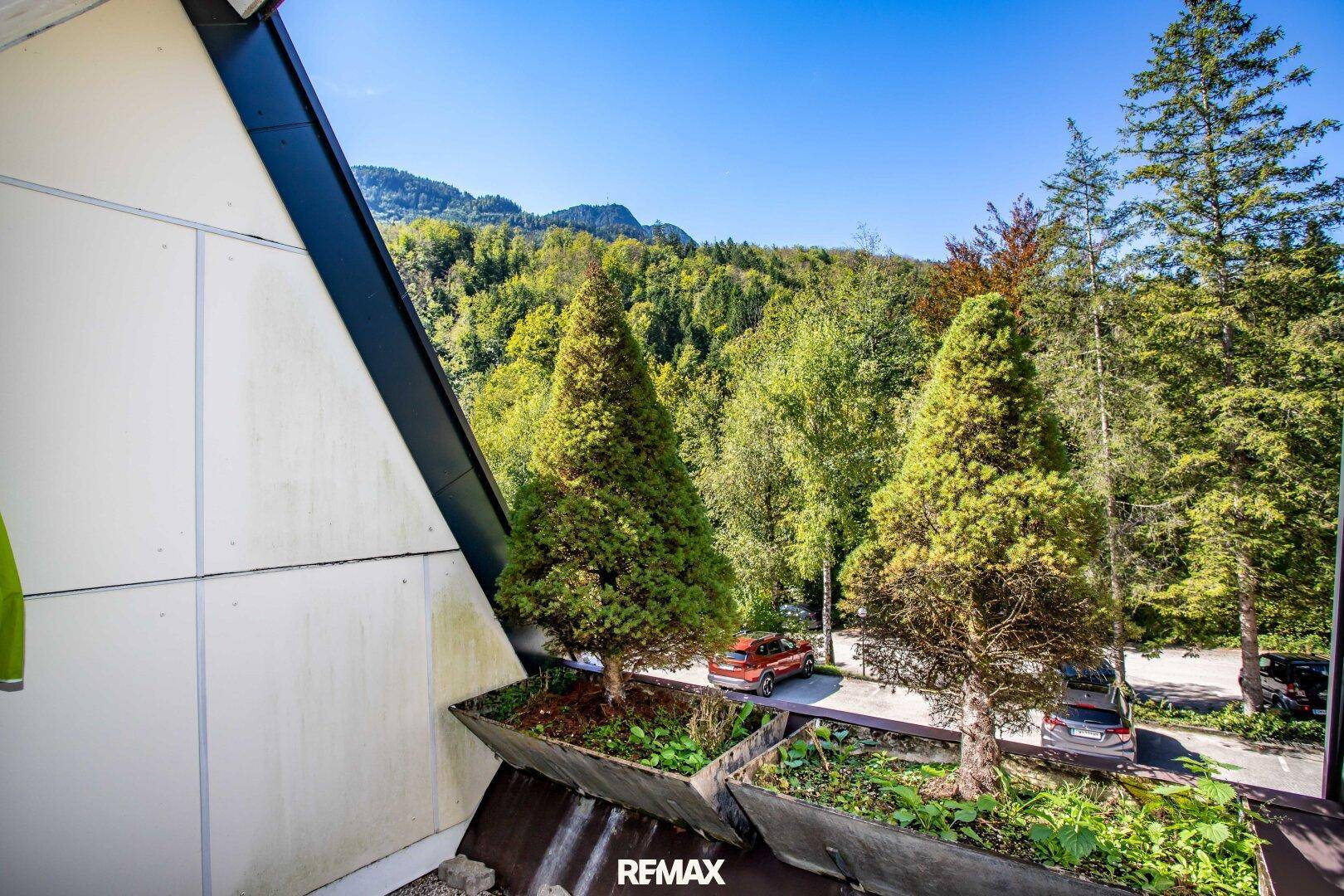 Ausblick ins Grüne