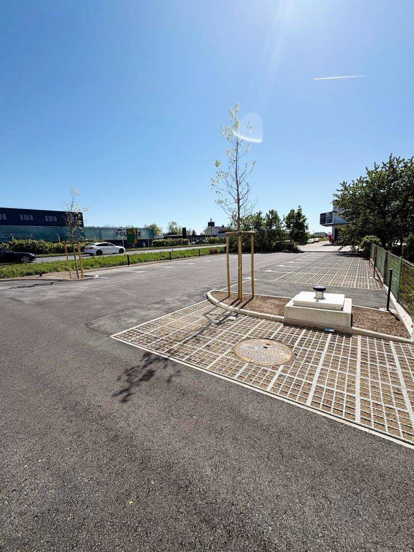 Außenansicht eines Parkplatzes mit Gitterpflasterung, Asphalt und jungen Bäumen unter strahlend blauem Himmel.