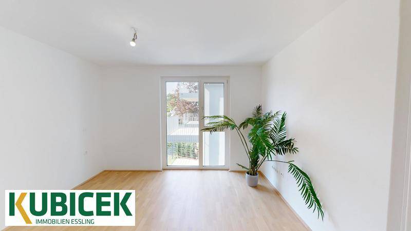 Lehenstrae-101-09302025_155153