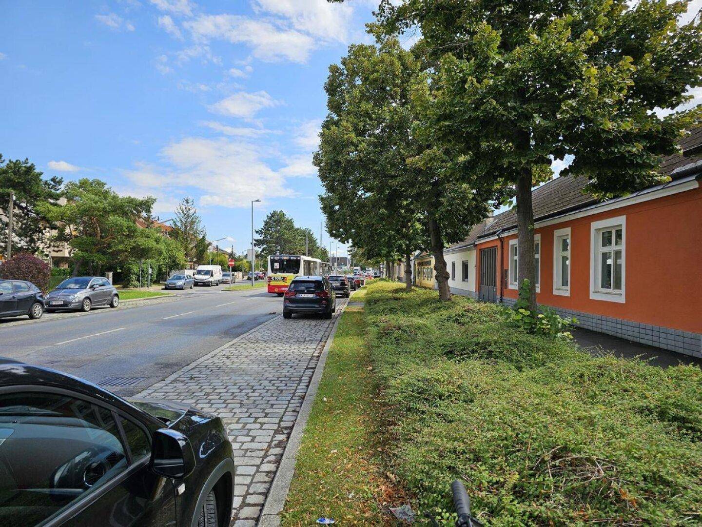 Belebtes Straßenbild mit parkenden Autos, Bussen und Bäumen an einem sonnigen Tag.
