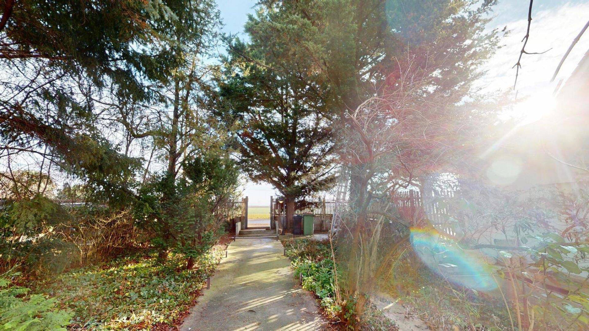 Weg zum Grundstückseingang, umgeben von Bäumen und üppigem Grün, mit sonnigem Ausblick.