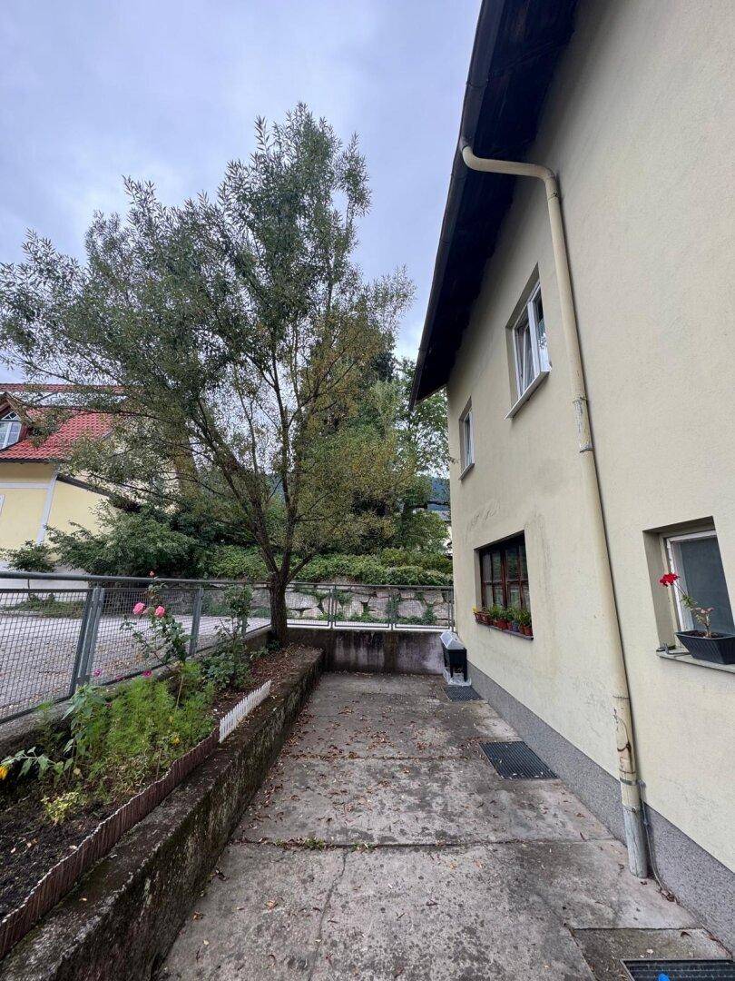 Seitenansicht des Gebäudes mit schmalem Weg, Blumenbeet und einem Baum.