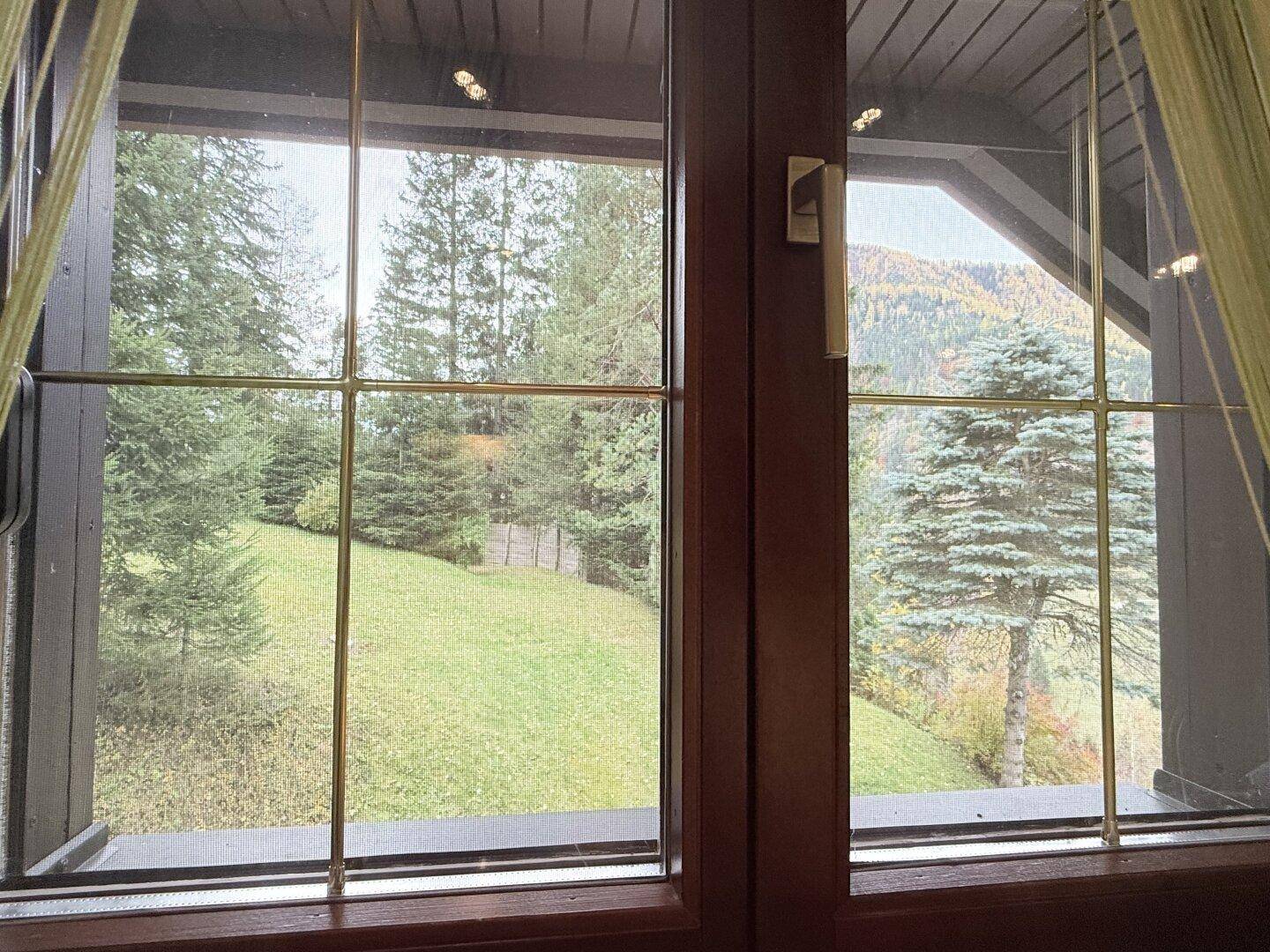 Blick aus dem Fenster auf eine grüne Wiese und bewaldete Hügel, umgeben von Natur.
