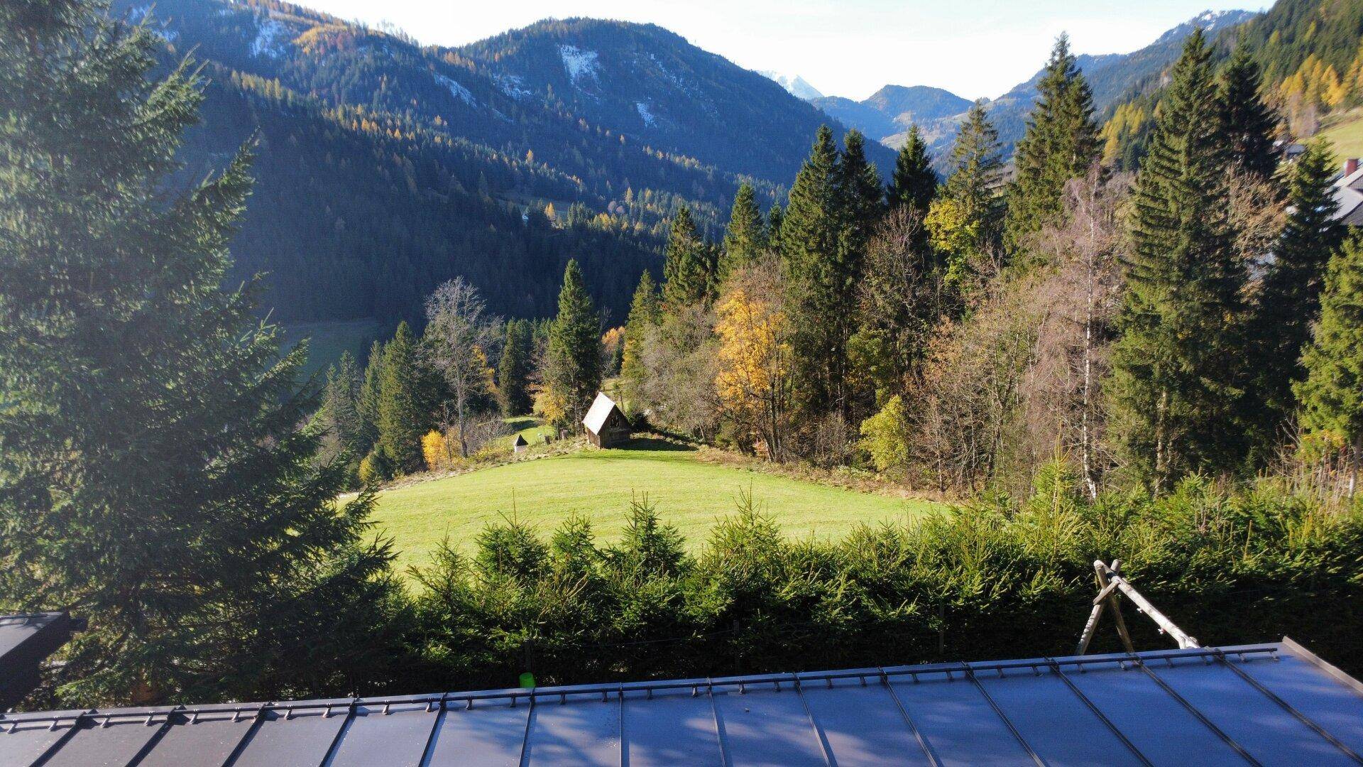 Panoramablick über bewaldete Hügel und Täler von einer erhöhten Position.