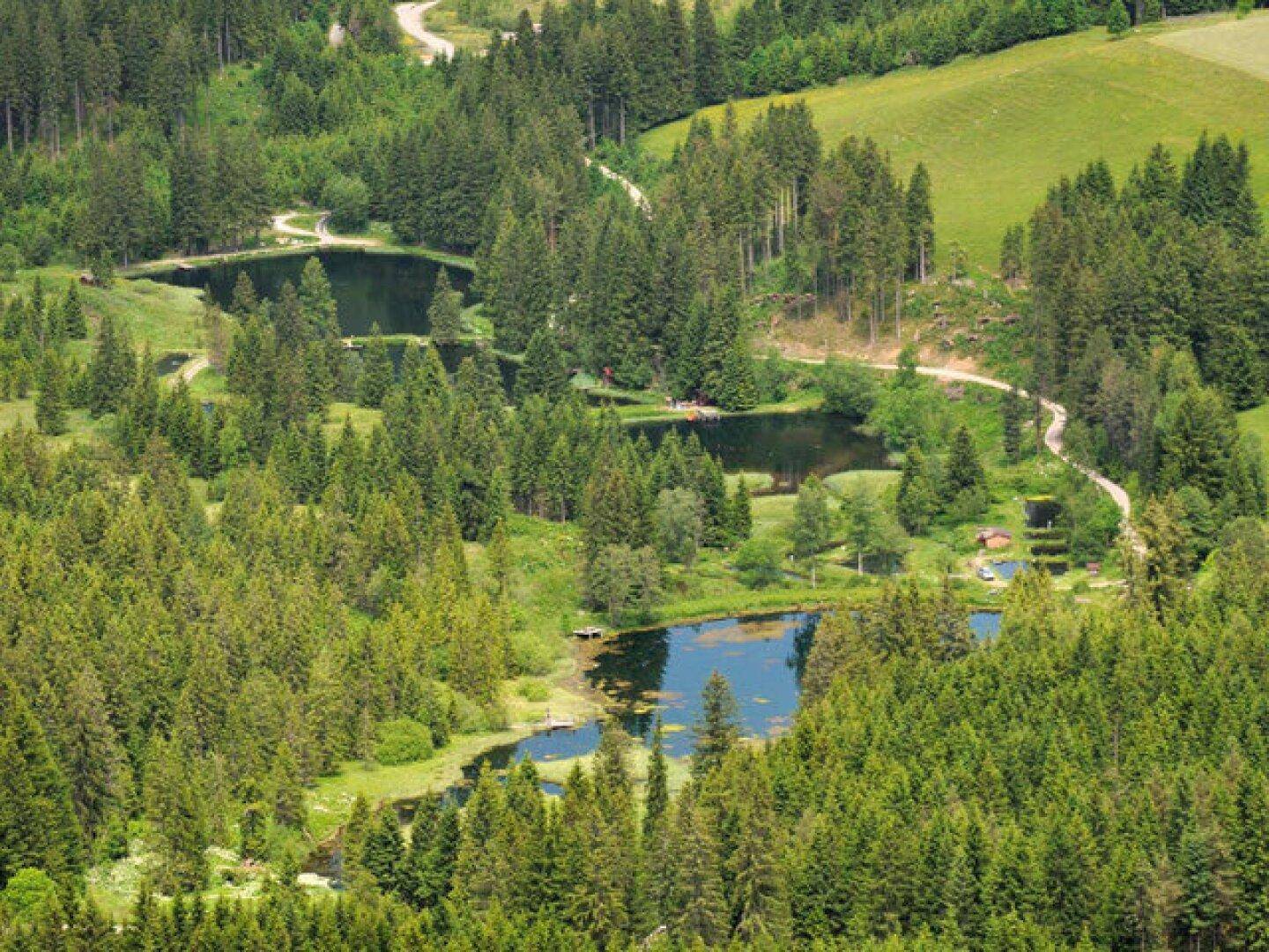 Luftaufnahme einer malerischen Seenlandschaft, eingebettet in dichte grüne Wälder und sanfte Hügel.