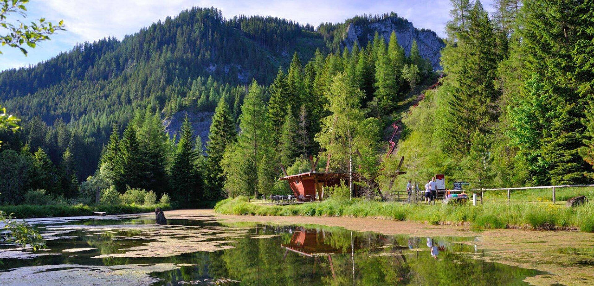 Malerische Berglandschaft mit einem kleinen See und üppigen Wäldern unter blauem Himmel, ideal für Erholung.